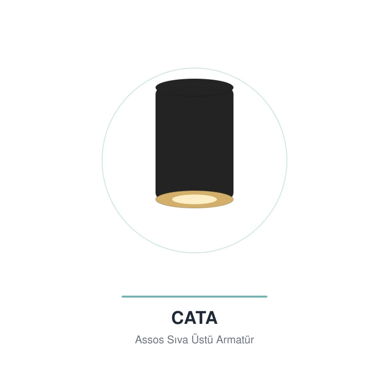 Cata Assos Siyah - Gold Sıva Üstü Dekoratif Armatürü CT-5418